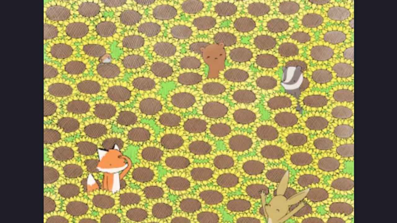 Test visivo difficilissimo: solo il 3% trova la farfalla tra i girasoli in 30 secondi