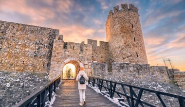 ecco come e dove viaggeremo