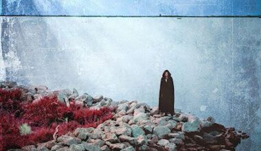 VII VITIUM - VII Vitium