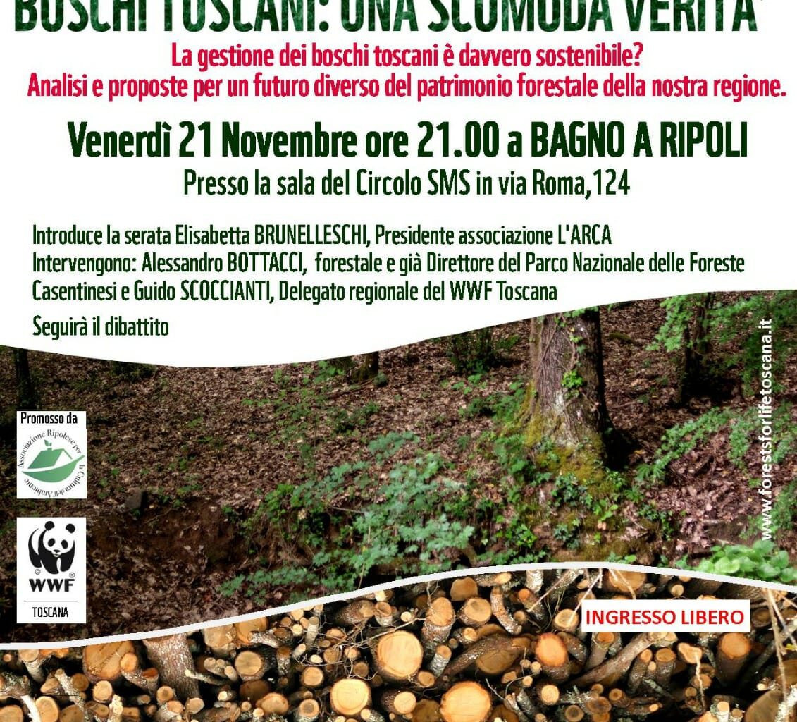 una scomoda verità”, proiezione a Bagno a Ripoli per la Giornata degli Alberi