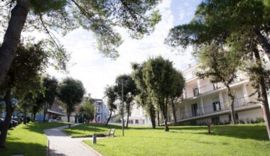 WhatsApp-Image-2025-11-27-at-11.01.45-650x433