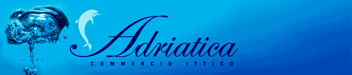 Adriatica - Commercio Ittico