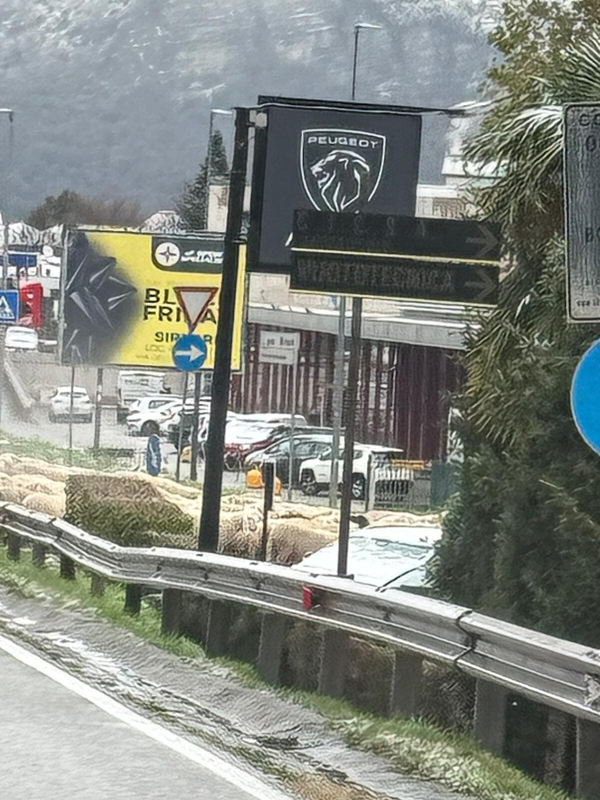 Anche le pecore nella tratta Calco-Airuno (foto Pier Migliardi).