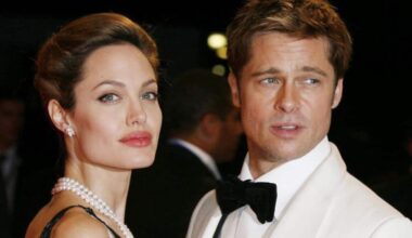 Brad Pitt fa causa ad Angelina Jolie per 35 milioni di dollari: ecco perché