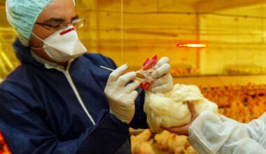 vai alla homepage de Il Sole 24 Ore