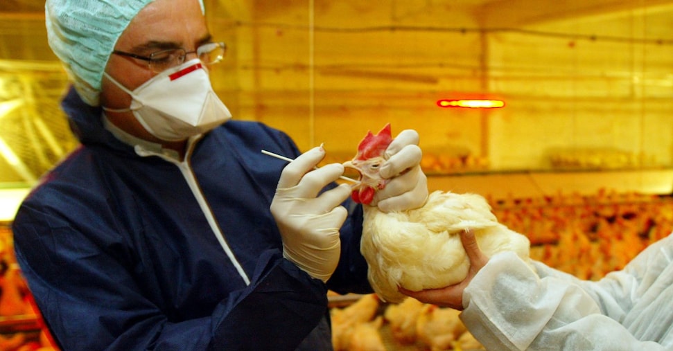 vai alla homepage de Il Sole 24 Ore