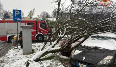 Disagi e danni per la neve, alberi crollati e diverse chiamate ai vigili del fuoco