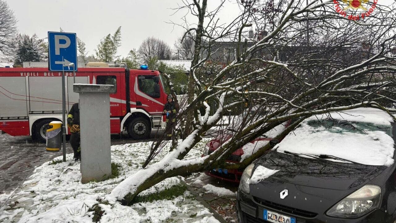 Disagi e danni per la neve, alberi crollati e diverse chiamate ai vigili del fuoco