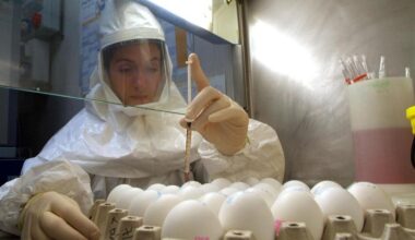 "Abbattuti 150 polli. Controlli a tappeto anche negli stabilimenti vicini"