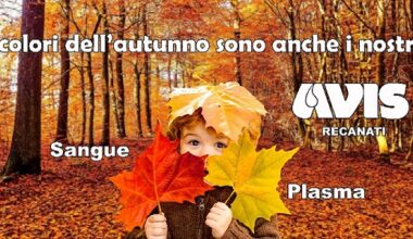 L'Avis di Recanati festeggia domenica 65 anni di attività