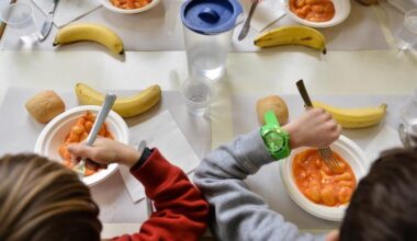 la colpa è dei pomodorini