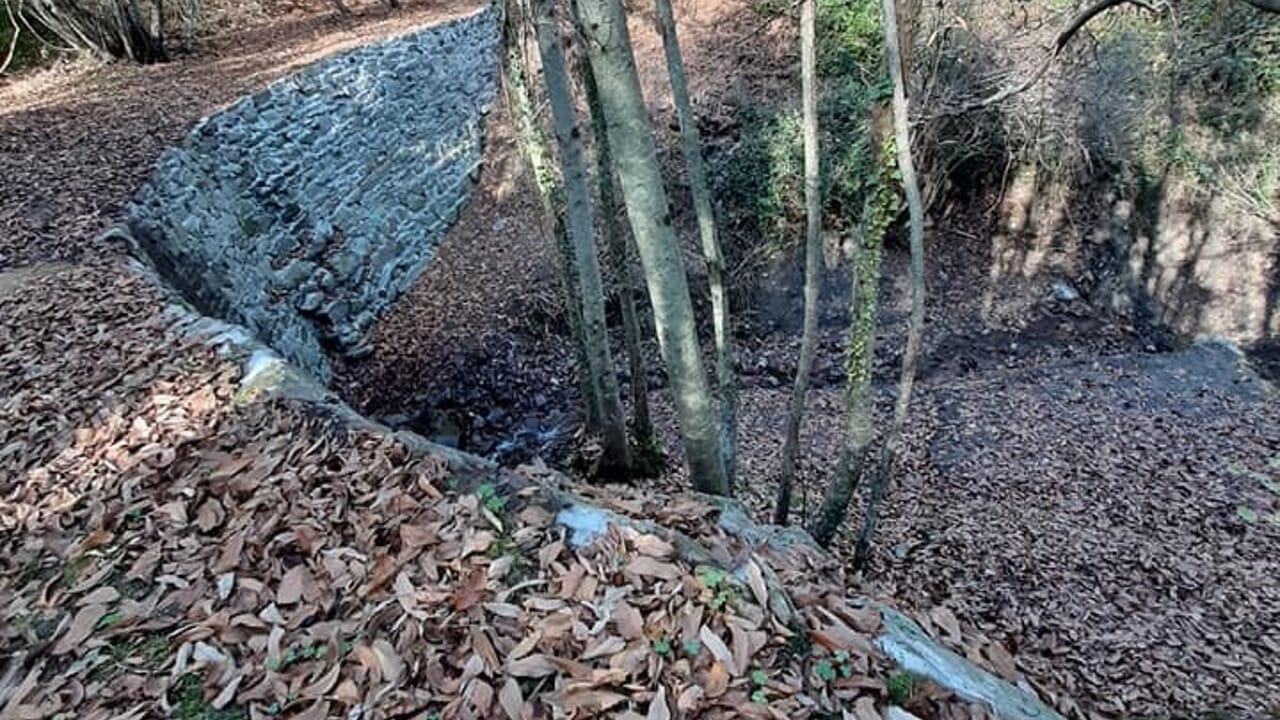 Montalcino, scomparsa una ragazza