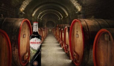 Braulio verso un nuovo acquirente: Campari valuta la cessione