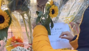 A Milano c'è un campo di basket che è stato preso d'assalto e riempito di girasoli: le immagini bellissime