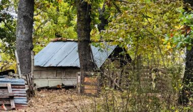 Famiglia nel bosco, Nordio valuterà l'operato dei giudici su affidamento figli