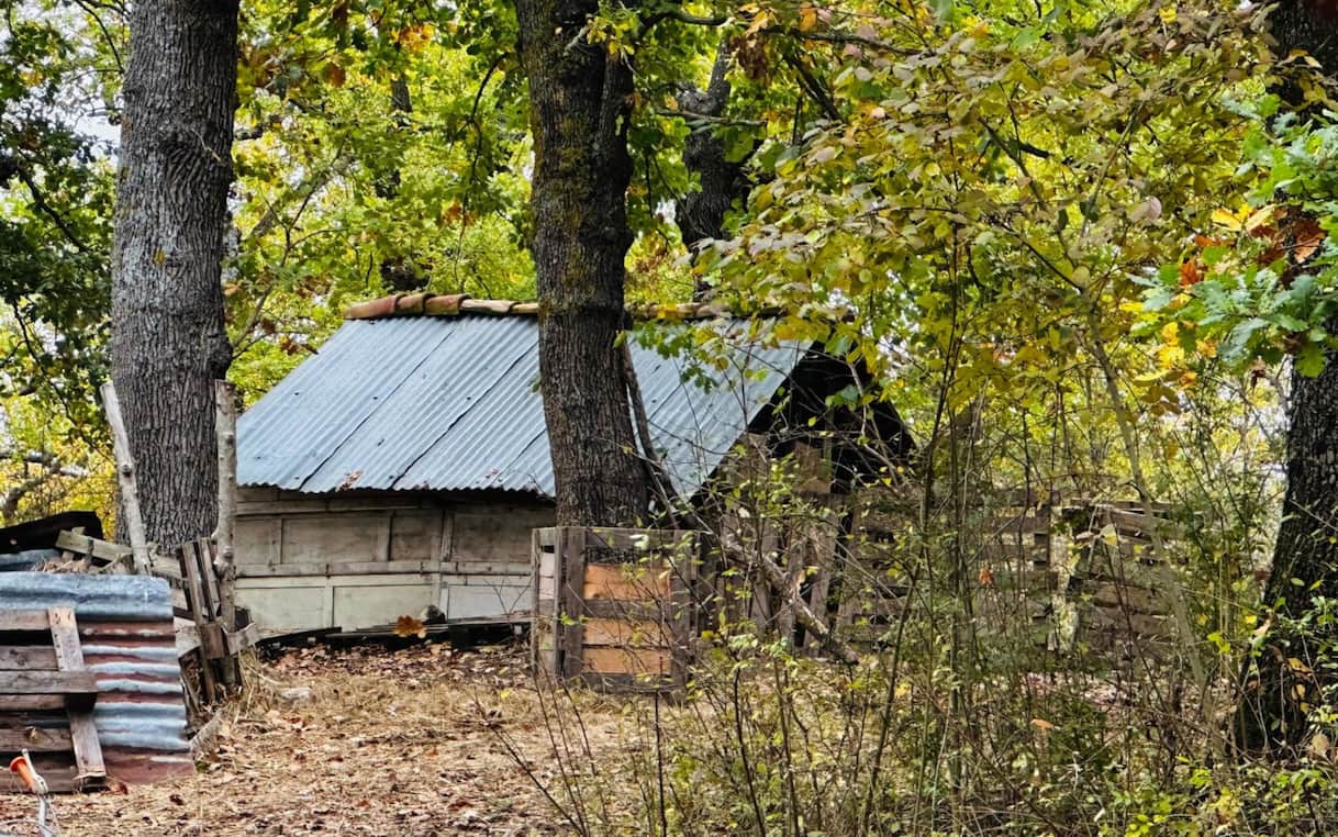 Famiglia nel bosco, Nordio valuterà l'operato dei giudici su affidamento figli