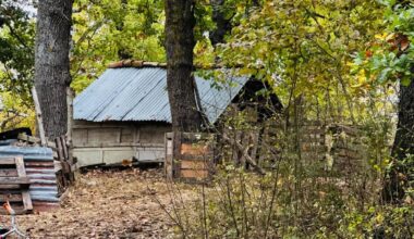 Famiglia nel bosco, i genitori: 'Mai rifiutato aiuti, ogni scelta per i nostri bimbi'