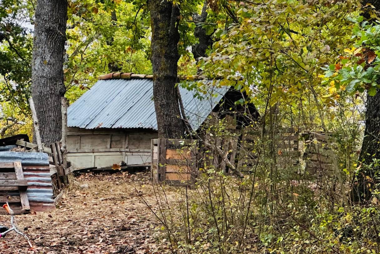 Famiglia nel bosco, i genitori: 'Mai rifiutato aiuti, ogni scelta per i nostri bimbi'