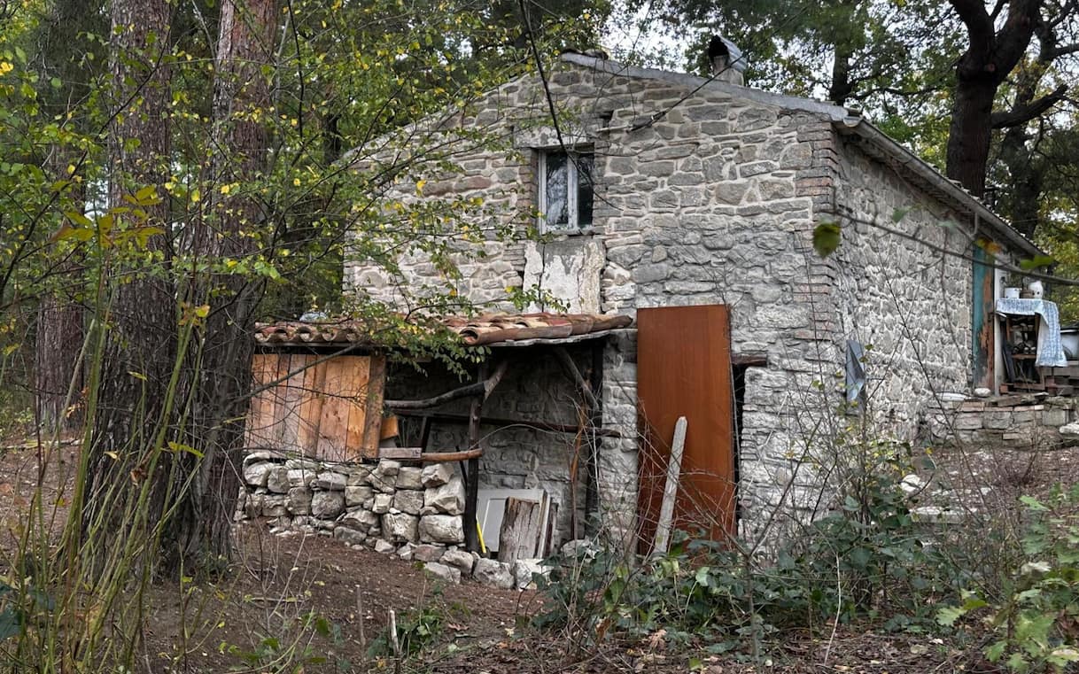 'Tutelati i minori, elementi oggettivi' I Sky TG24