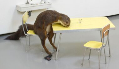 Quel preciso momento: ecco cosa è successo nell’arte tra fine degli Anni Novanta e primi Anni Zero 