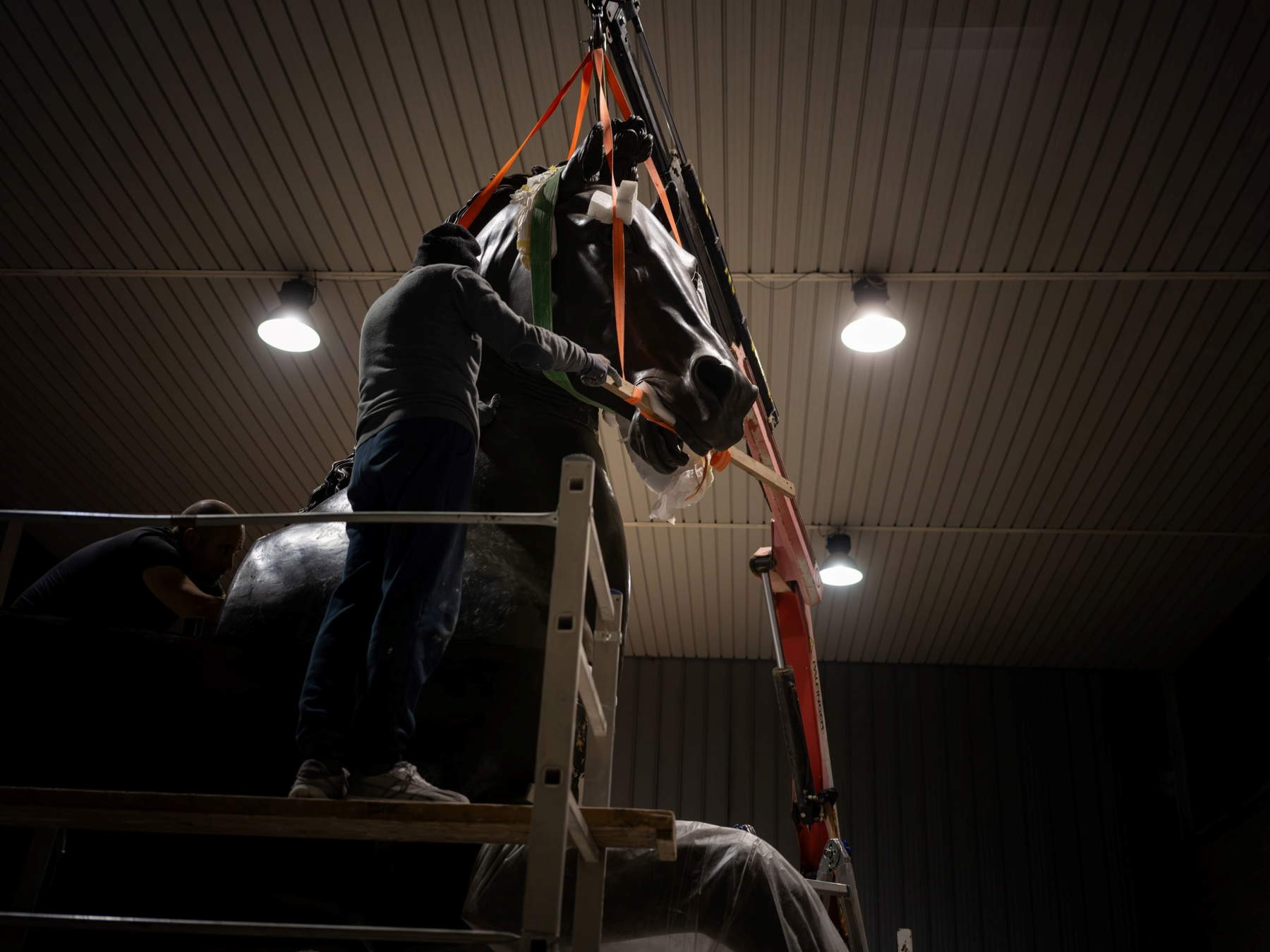 Il Cavallo colossale di Canova torna a nuova vita dopo oltre cinquant'anni nei depositi © Joan Porcel Studio