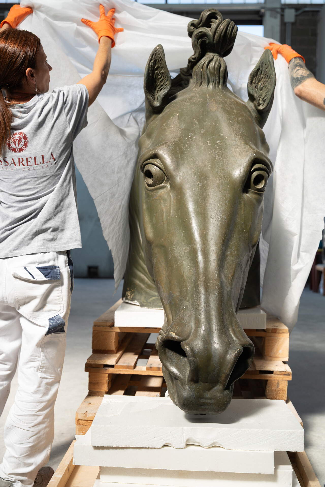 Il Cavallo colossale di Canova torna a nuova vita dopo oltre cinquant'anni nei depositi © Joan Porcel Studio – Ilaria Zago