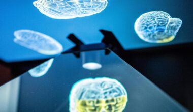 il sorprendente effetto della dieta sul cervello