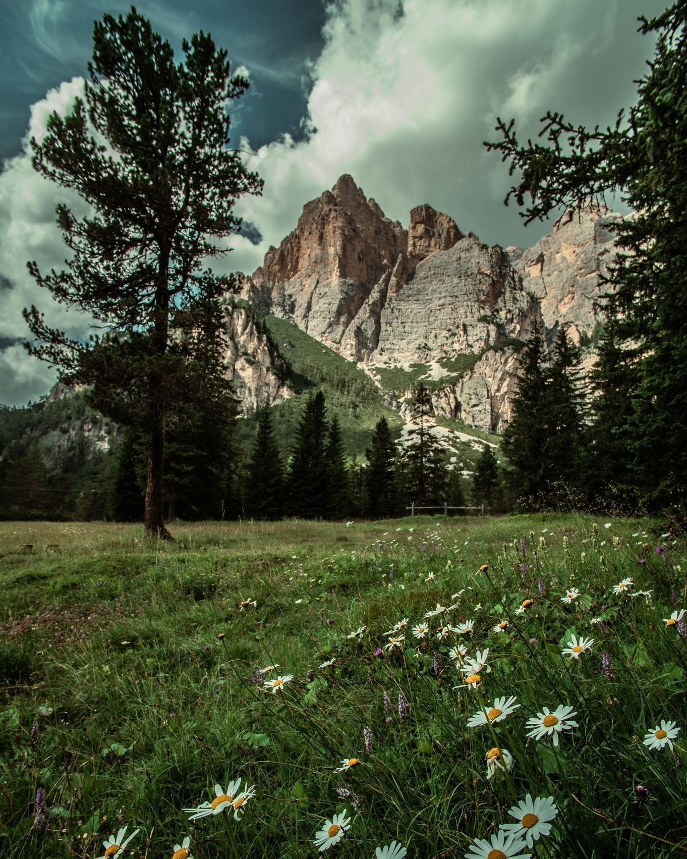 Credit Ciasa Salares