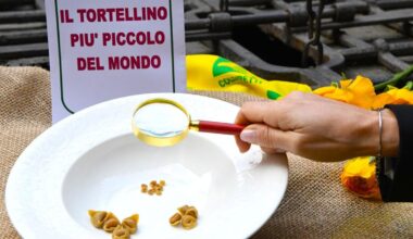 è il più piccolo del mondo