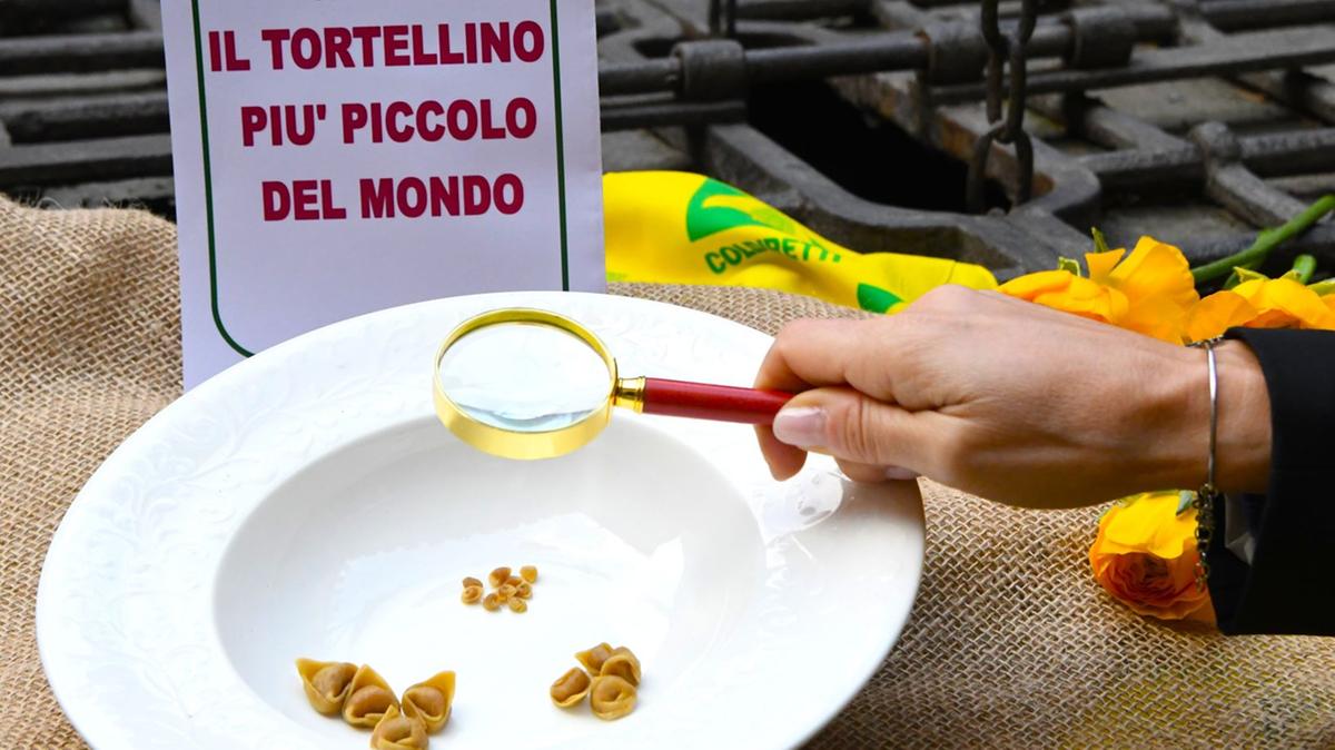 è il più piccolo del mondo