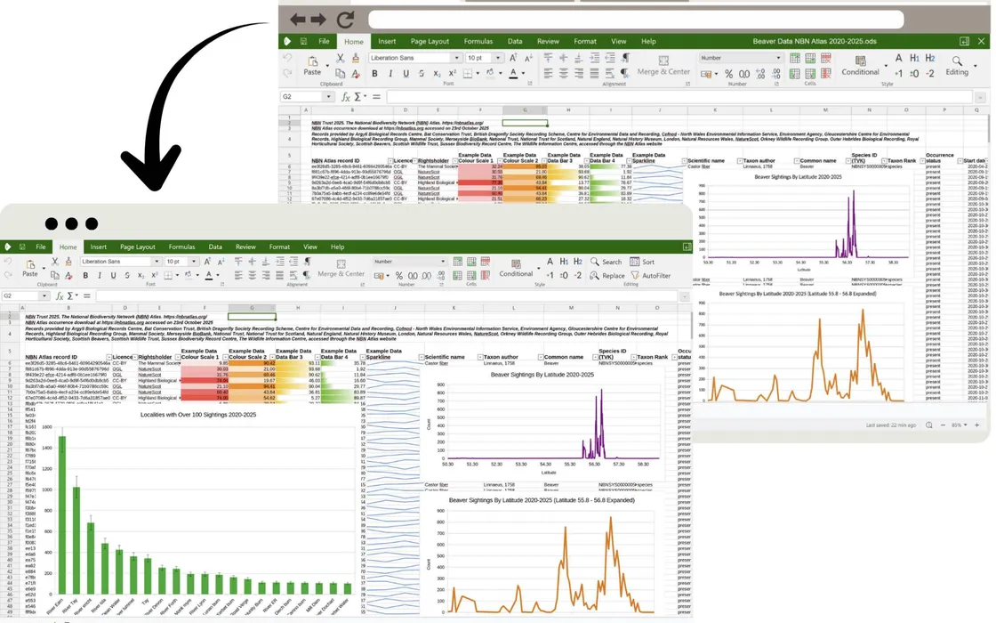 Collabora Office: il LibreOffice reinventato che fa dimenticare Microsoft Office ed è gratis Collabora Office: il LibreOffice reinventato che fa dimenticare Microsoft Office ed è gratis