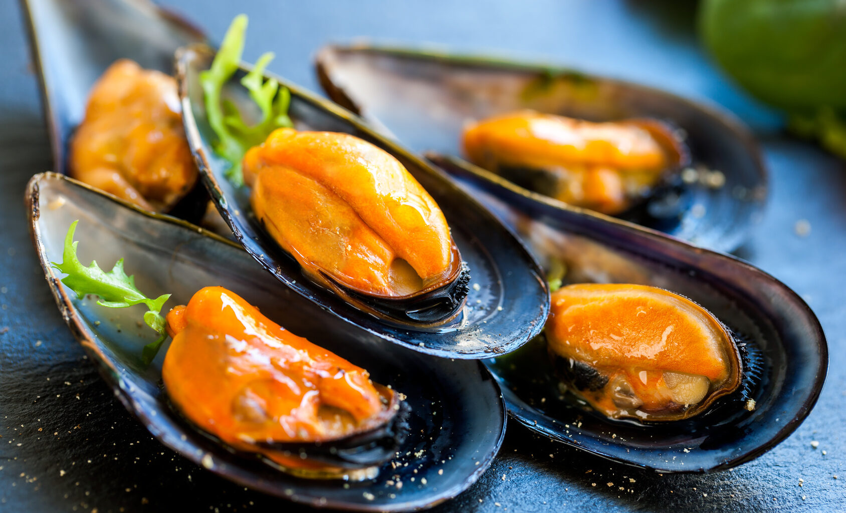 cozze molluschi pesce