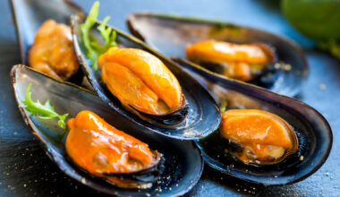 cozze molluschi pesce