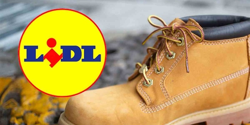 lidl timberland 28112025 okmugello.it lidl timberland 28112025 okmugello.it