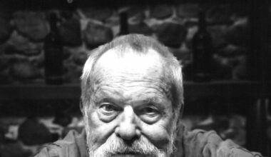 Terry Gilliam, 'stufo di essere un bianco accusato di tutto' - Cinema