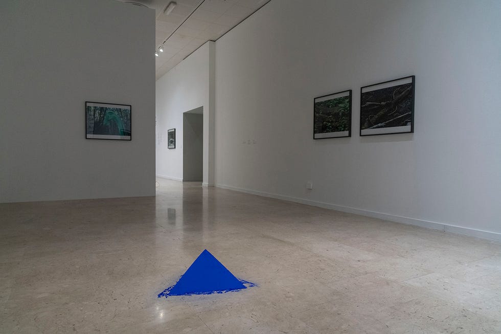 lothar baumgarten, ﻿culture nature, installation view, gam torino