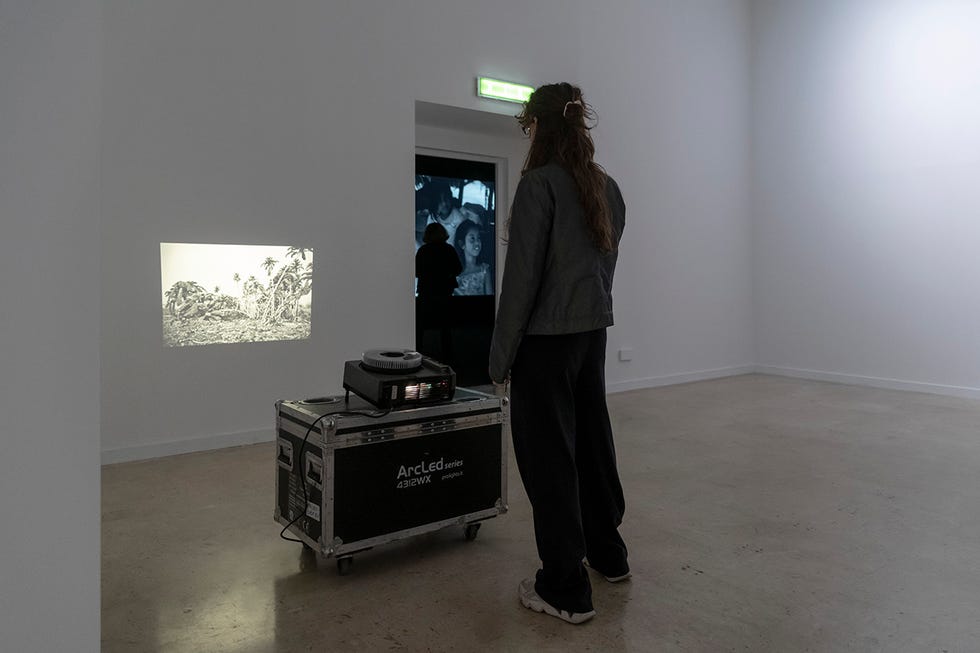 lothar baumgarten, ﻿culture nature, installation view, gam torino