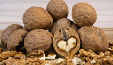 Noci, tutti i benefici dei frutti dell’inverno: idee per una cucina in salute