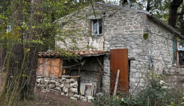 Famiglia nel bosco, bambini allontanati: Salvini e Nordio contro i giudici | IFQ