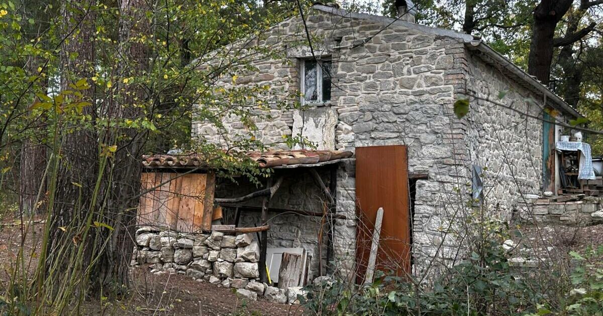 Famiglia nel bosco, bambini allontanati: Salvini e Nordio contro i giudici | IFQ