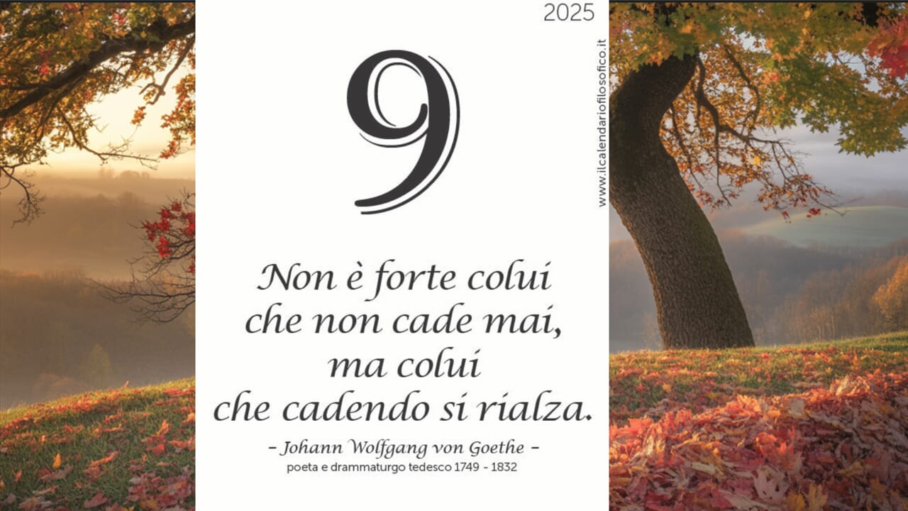 Domenica 9 novembre | Oroscopo, almanacco, accadde oggi, proverbio e santo del giorno