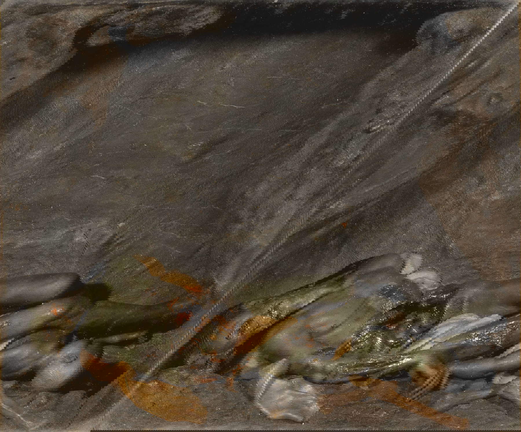 Gaetano Giulio Zumbo, Corruzione dei corpi (1698; cera policroma, 18 x 21,4 cm; Firenze, Gallerie degli Uffizi, Palazzo Pitti, Tesoro dei Granduchi)