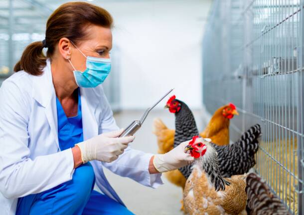 Generico 17 Nov 2025