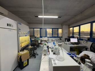 mediterranea biotecnologie