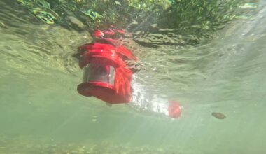 Generico novembre 2025