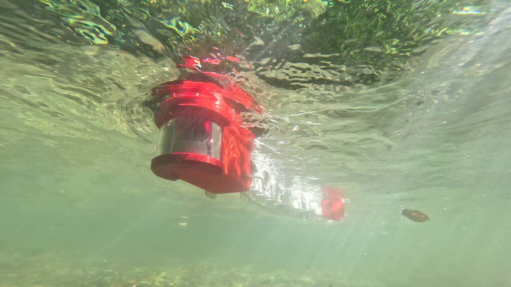 Generico novembre 2025