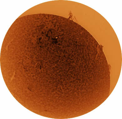 greppispazio6.jpg (18 KB)