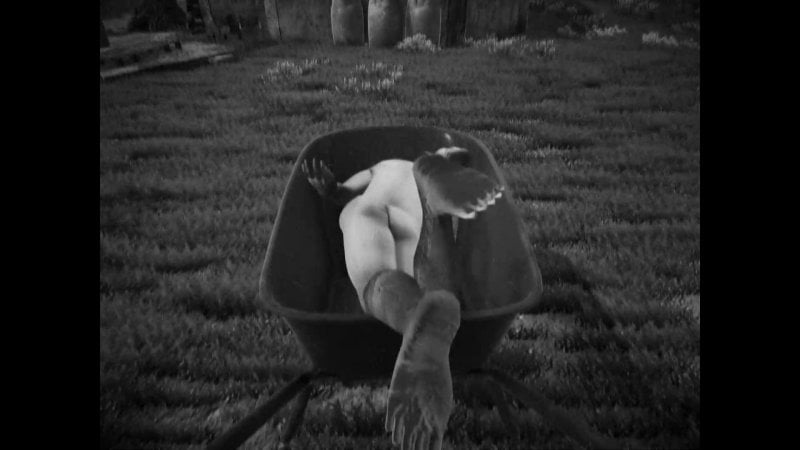 Le opere diverse, collocate in una cornice politica e sperimentale sono davvero a rischio?