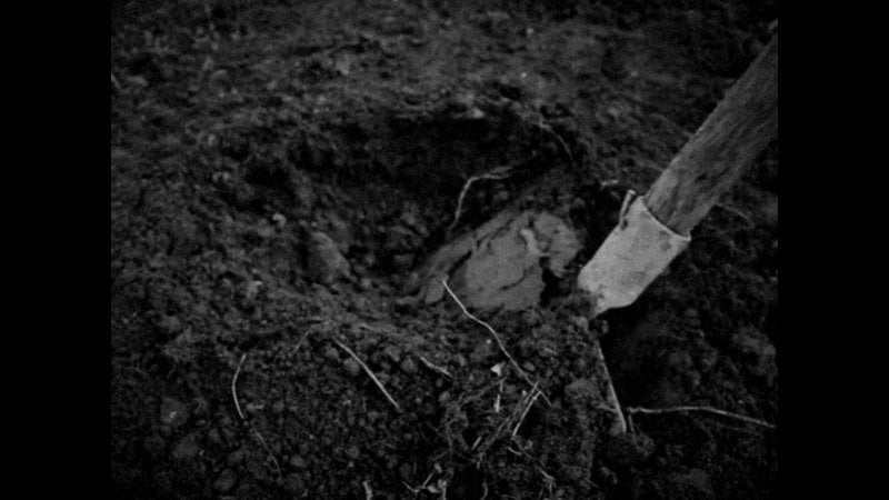 Anche gli inserti registrati in live action non contengono scene di nudo o particolarmente violente