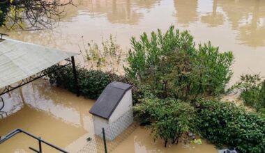 "Non è ancora arrivato nessuno"